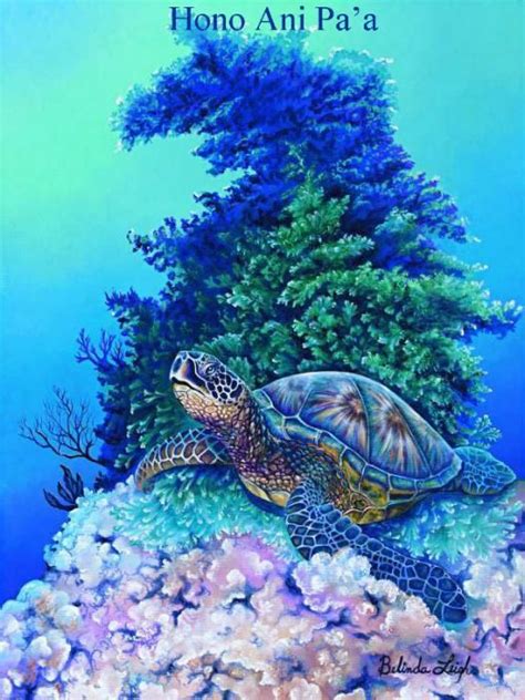 Коллекция работ художницы Belinda Leigh Noname Marine Life Art