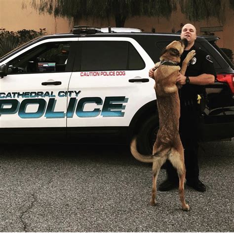 Cathedral City Police Department K9 Unit