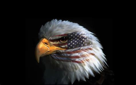 american flag eagles wallpapers ntbeamng