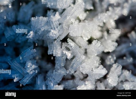 Ice Crystal Stock Photos And Ice Crystal Stock Images Alamy