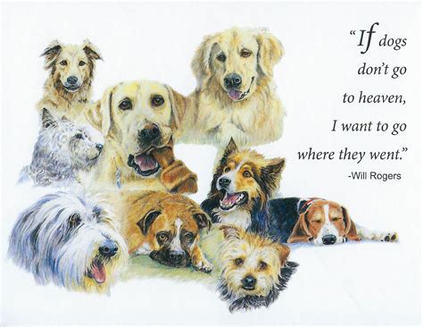 Veterinary Wisdom S73 Dog Sympathy Card