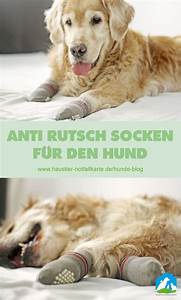 Anti-Rutsch-Pfotenschutz Indoor Car Wear Shiningbaby Haustier Socken mit Griff f/ür Hund Katze