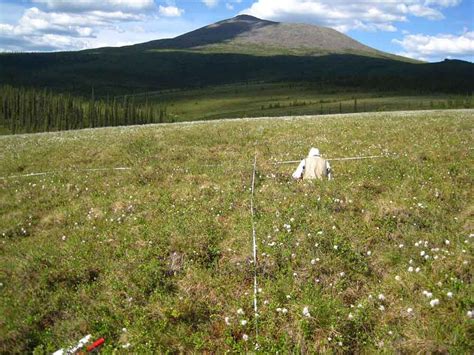 Fire Topography And Climate Drive Variation In Alaskas Boreal