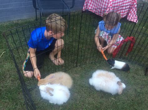 There's no pressure to hire, so you can compare profiles, read previous reviews and ask for more information. MOBILE PETTING ZOO COMES TO YOU | Winterpast Farm