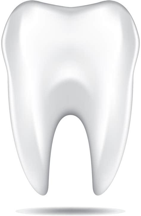 Clean Tooth Png Clipart Png Mart