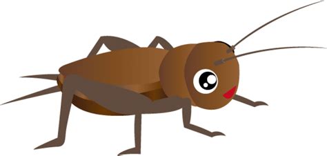 Cricket Insect Clipart Crickets Clipart And Free Crickets Clipartpng