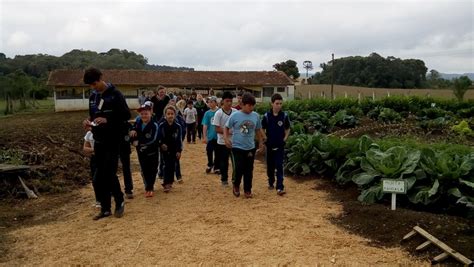 Escola Agr Cola De Mafra Realizou O Iv Dia De Campo Click Riomafra