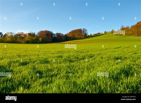 Pastoral Architecture Hi Res Stock Photography And Images Alamy