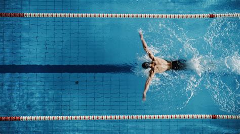 Aerial Top View Male Swimmer Swimming In Swimming Pool Professional