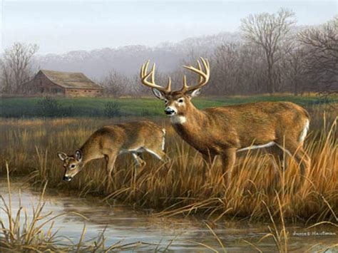 76 Deer Hunting Wallpaper