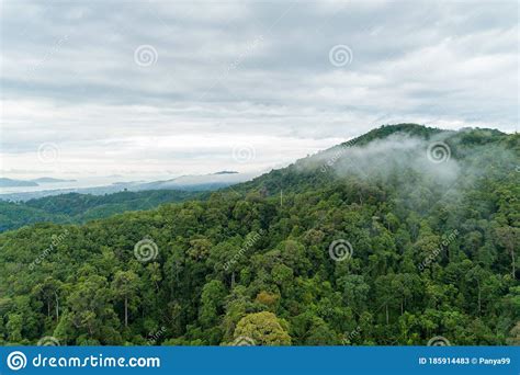 Aerial View Drone Shot Of Mountain Tropical Rainforestbird Eye View