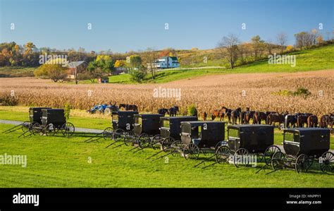 Amish Horses And Buggies Hi Res Stock Photography And Images Alamy