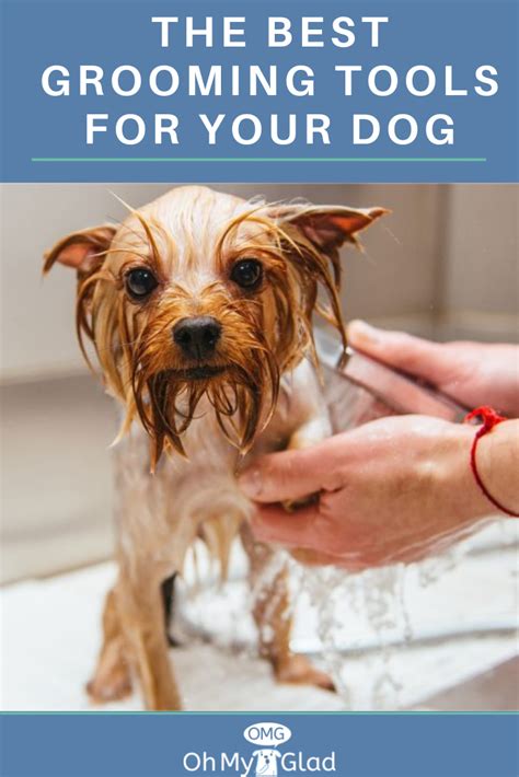 Do it yourself dog washing. 5 Dog Grooming Tools for the Do-It-Yourself Dog Groomer | Dog grooming tools, Dog grooming ...