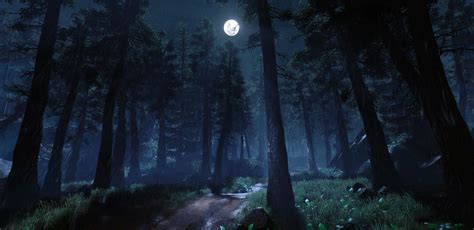 Artstation Night Forest Plawius Play With Us Fantasy Art Landscapes