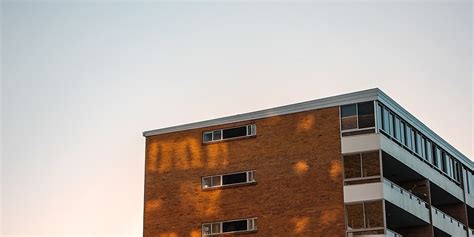 Sustainable Renters' Week: Tips for making your rental more comfortable