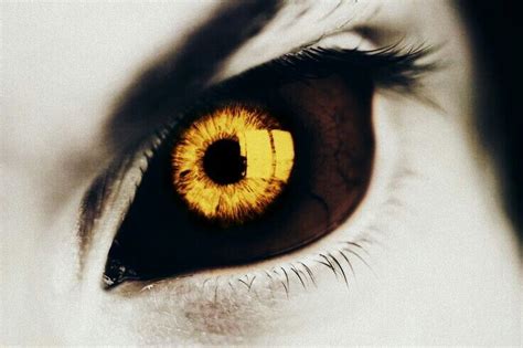 Image Result For Black Eyes Gold Irises Demon Eyes Aesthetic Eyes