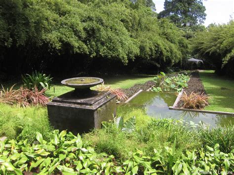 Must Visit Brief A Garden Estate In Sri Lanka Artisans Of Leisure