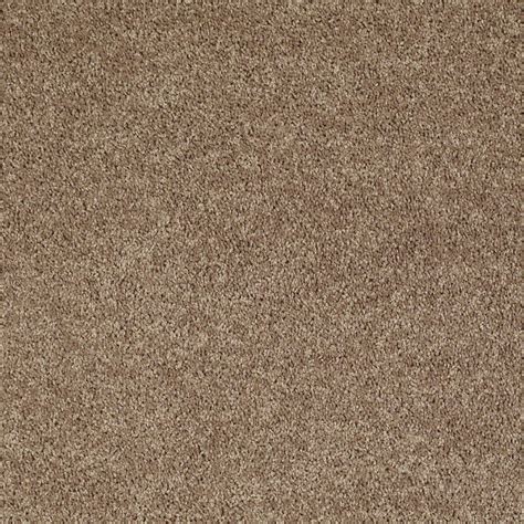 Shaw Stock Putty Textured Indoor Carpet At
