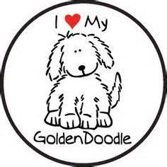 In general, goldendoodle puppies shed their puppy fur between six months old and ten months old. Goldendoodle clipart - Clipground