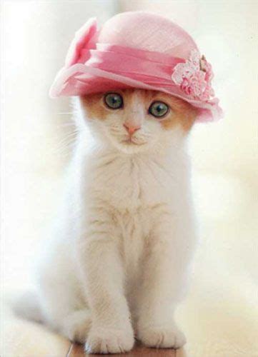 Kitty In Her Easter Bonnet A~ Cats Playing Dressup