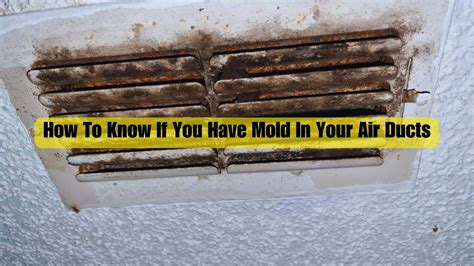How To Know If You Have Mold In Your Air Ducts Air Duct Now