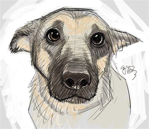 Puppy Eyes By Ej Su Animal Drawings Dog Art Dog Drawing