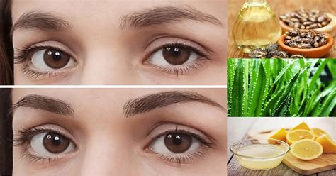 Ways To Thicken Your Eyebrows Naturally Best 5 Home Remedies Maxdio