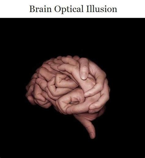 81 Best Optical Illusions Images On Pinterest Optical Illusions Funny Optical Illusions And
