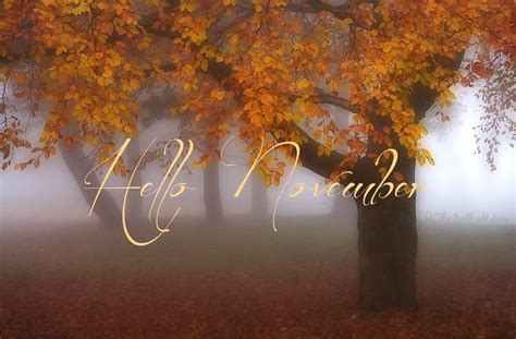 Hello November Autumn Inspirational Quotes Fall Wishes Greetings