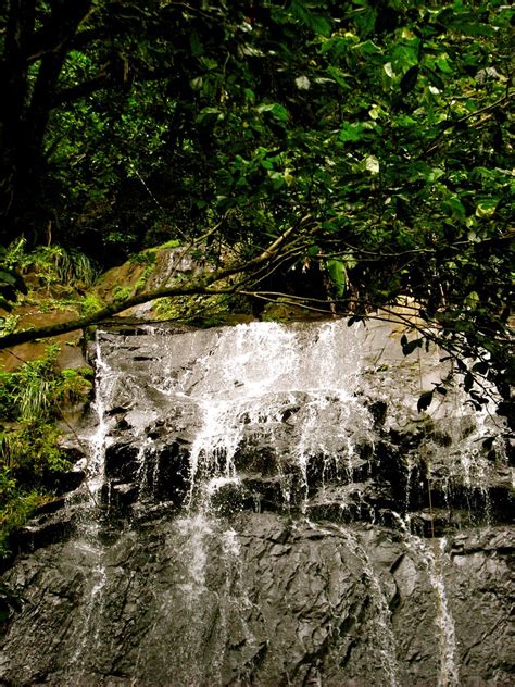 El Yunque Rainforest La Coca Falls Jeff Gunn Flickr