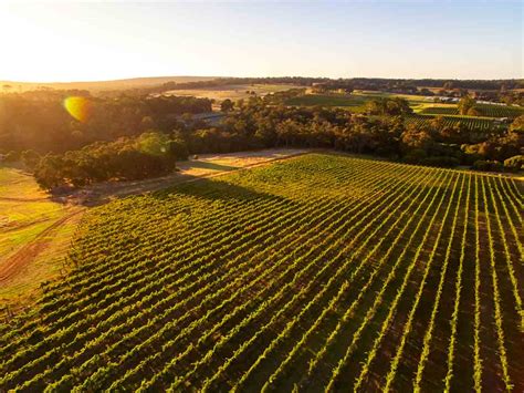 The List Of 6 Best Margaret River Wineries That You Cannot Miss