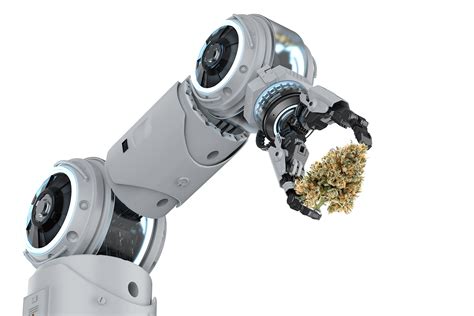 Leafman Ai Enabled Contactless Robots For Cannabis Production