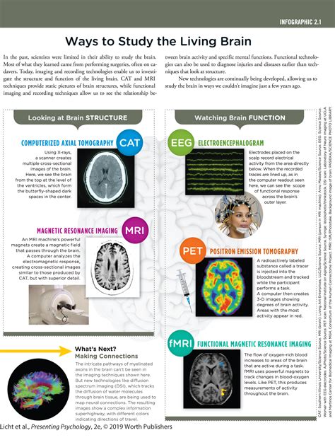 Ways To Study The Living Brain