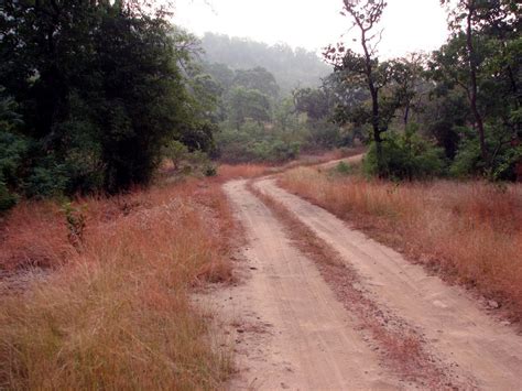 Travel Journal How To Reach Bandhavgarh National Park