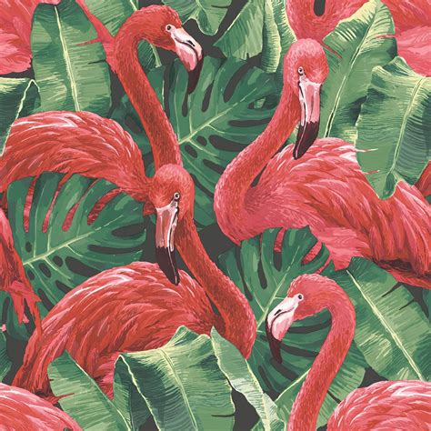 Flamingo Wallpaper Flamingo Wallpaper Flamingo Galerie Wallpaper