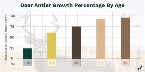 3 Most Important Factors For Deer Antler Growth