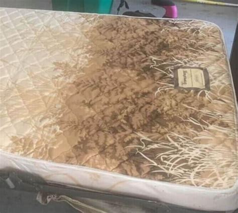 This Unused Mattress With A Forest Pattern That Looks Like Poo CrappyDesign