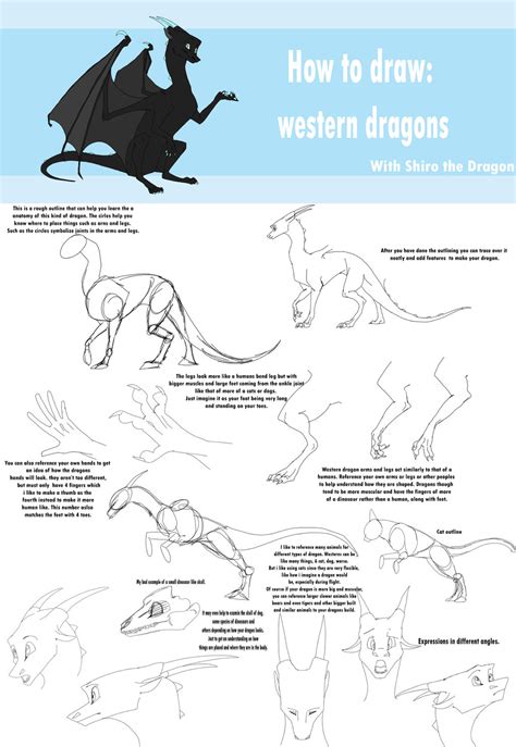 How To Draw Western Dragons By Shirothedragon123 On Deviantart