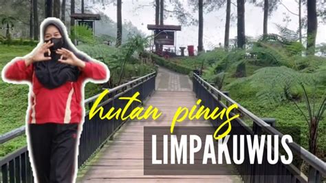 Hutan Pinus Limpakuwus Baturaden Wisata Keluarga Youtube