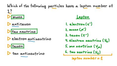Question Video Identifying Particles Having A Lepton Number Of 1 Nagwa
