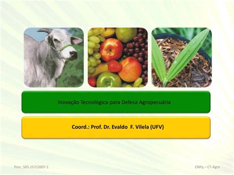 PPT Inovação Tecnológica para Defesa Agropecuária PowerPoint Presentation ID