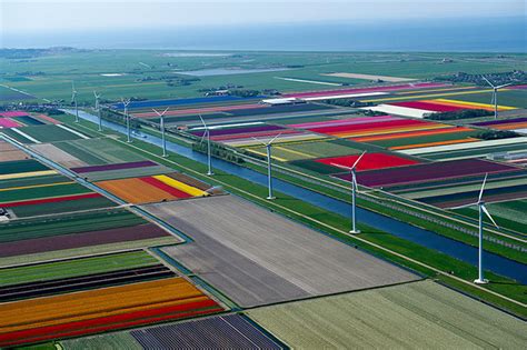 Aerial Photos Of Dutch Tulips In Bloom Look Like Earth In Pixels Demilked