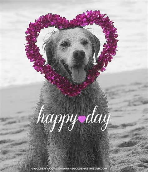 Check spelling or type a new query. Happy LOVE Day - Golden Woofs
