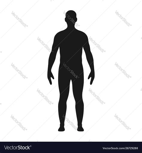 Silueta De Cuerpo Humano Silueta Vector Del Cuerpo Humano Canstock Porn Sex Picture