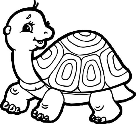 Tortoise Turtle Side Coloring Page Turtle