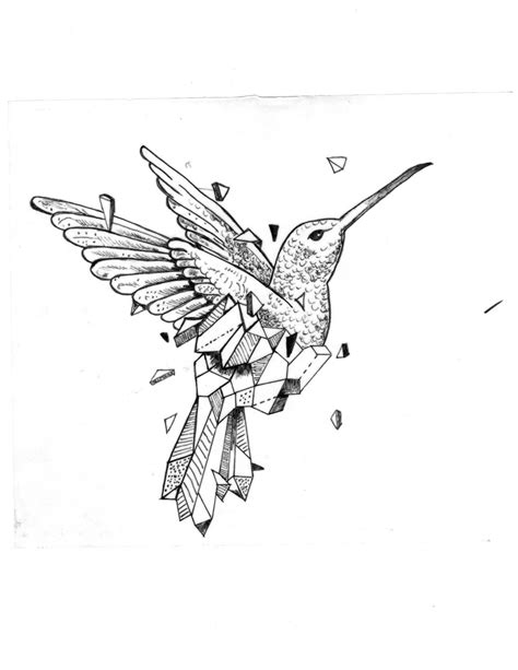 Dibujo Colibrí Marcador Dibujos Dibujos A Lápiz Arte Dibujos De