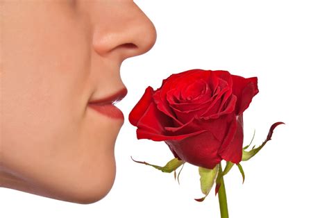 Smell Disorders When Your Sense Of Smell Goes Astray Harvard Health