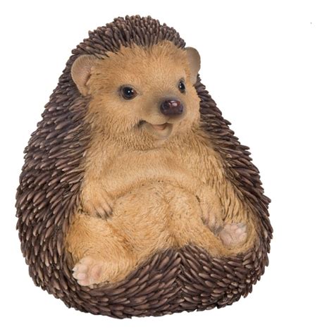 Sitting Baby Hedgehog - Real Life Animals - Busy Bee Garden Centre