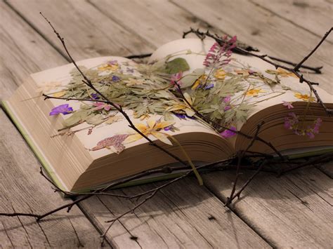 47 The Beauty Of Books Wallpaper
