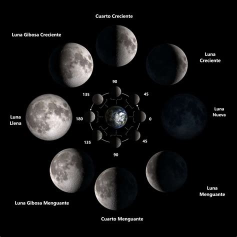 Las Fases De La Luna Astrología Aditi